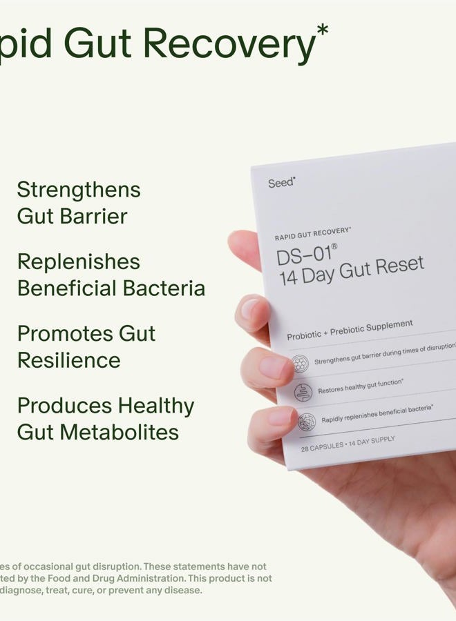 Seed 14 Day Gut Reset - Prebiotic and Probiotic for Women & Men - Digestive Health, Gut Health, Rapid Gut Recovery, Bloating & Constipation Relief - Vegan & Shelf-Stable - 28 Capsules (14-Day Supply) - Image 2