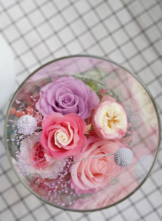 Glass Storage Tank Flower Pot Dried Vase Utensils Decorative Ornaments  - Image 3