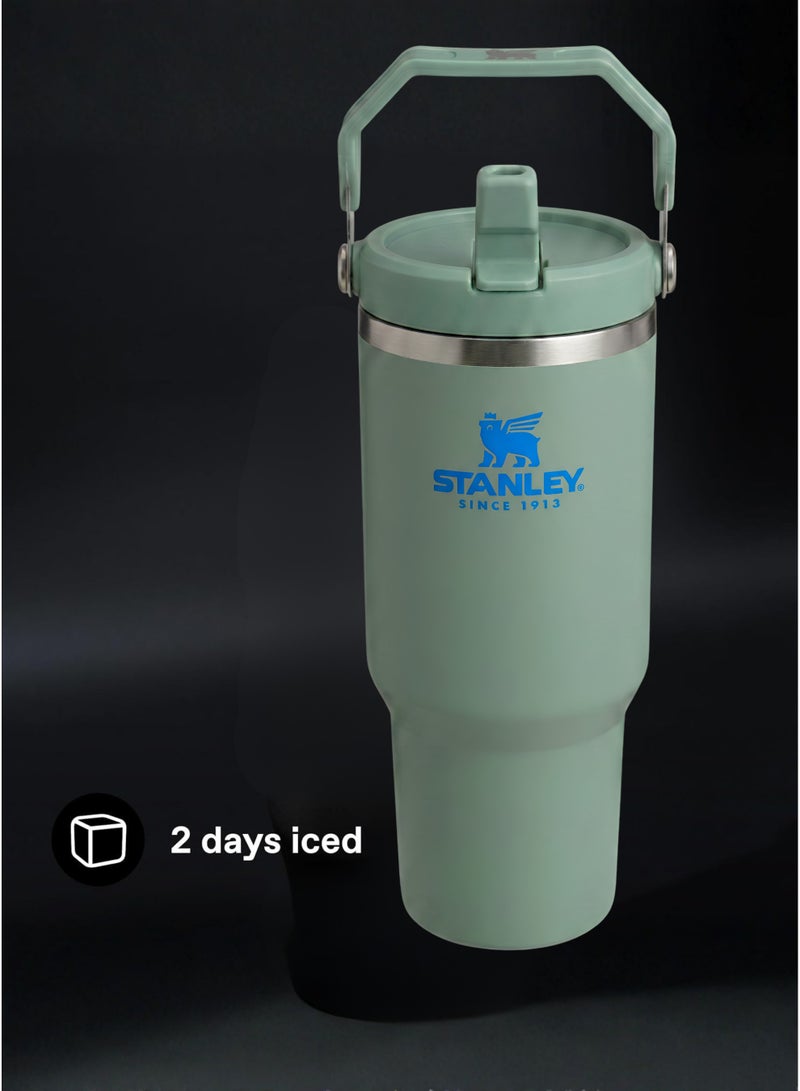 Stanley IceFlow 2.0 Fast Flow 30 oz Insulated Stainless Steel Tumbler with Handle – Leakproof BPA-Free Water Bottle with Twist-On Angled Spout Lid, Bay Leaf Green - Image 5