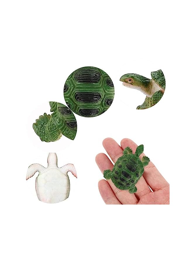 Excefore Pcs Turtle Figurines Toys, Durable Model Tortoise Toys, Realistic Small Tortoise, Miniature Figurines for Kids Toddler Bathtub, Party Ornaments - Image 3