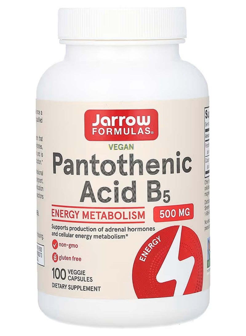 jarrow formulas Pantothenic Acid B5, 100 Veggie Caps - Image 1