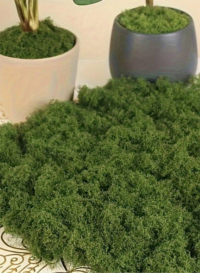 جُودِيَّة ​ ١٠٠ غرام طحلب صناعي - عشب أخضر طبيعي المظهر لتزيين مراكز الطاولات، ديكور المطابخ والحدائق المنزلية، طحلب الغابات المُصَنّع بدقة ليبقى نضراً دون ري، مثالي للديكور الداخلي والخارجي في المنازل السعودية. - Image 1