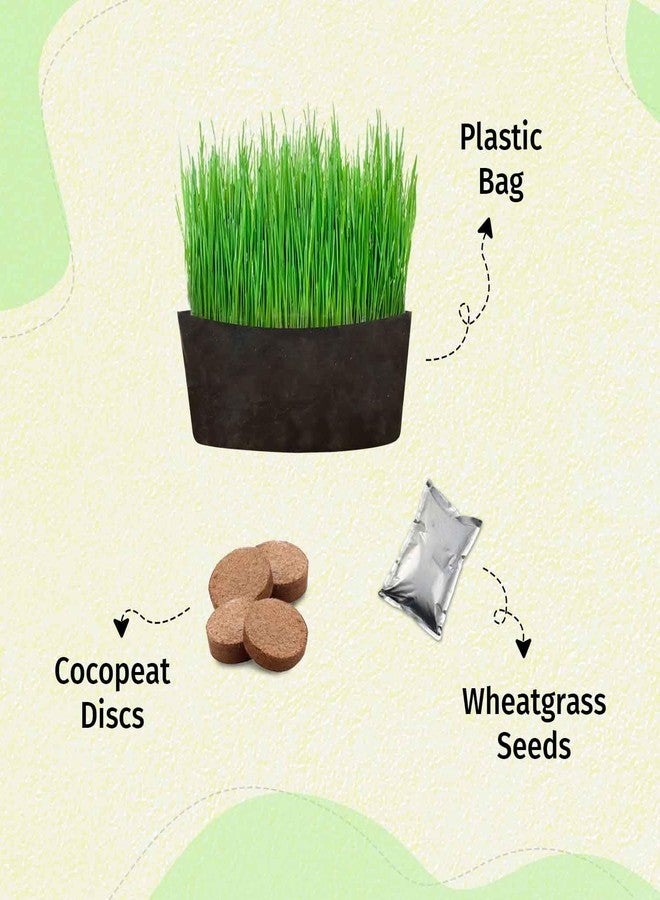 Gachwala Pawfect Cat Grass Growing Kit with Planter - 2 Plastic Grow Bags, 4 Coco Peat Discs & Wheatgrass Seeds | Ideal for Indoor Cats, Aids Digestion & Reduces Hairballs | Easy-to-Grow - Image 5