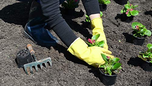 Ekon Combo Of 4 Latex Non Slip Multipurpose Heavy Duty Reusable Safety Rubber Hand Gloves For Chemical Resistance Protective Lab Gardening Industrial Building Construction Agriculture Work Yellow - Image 3