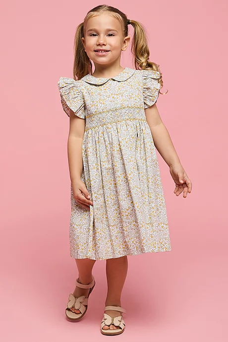 R&B Floral Print Flared Dress with Peter Pan Collar Neck and Flutter Sleeves