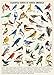 PICKFORU Vintage Bird Puzzles for Adults 1000 Pieces Animal Hummingbird Puzzle of 36 Colorful Birds in North America Bird Jigsaw Puzzles Nature - Image 4