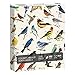 PICKFORU Vintage Bird Puzzles for Adults 1000 Pieces Animal Hummingbird Puzzle of 36 Colorful Birds in North America Bird Jigsaw Puzzles Nature - Image 2