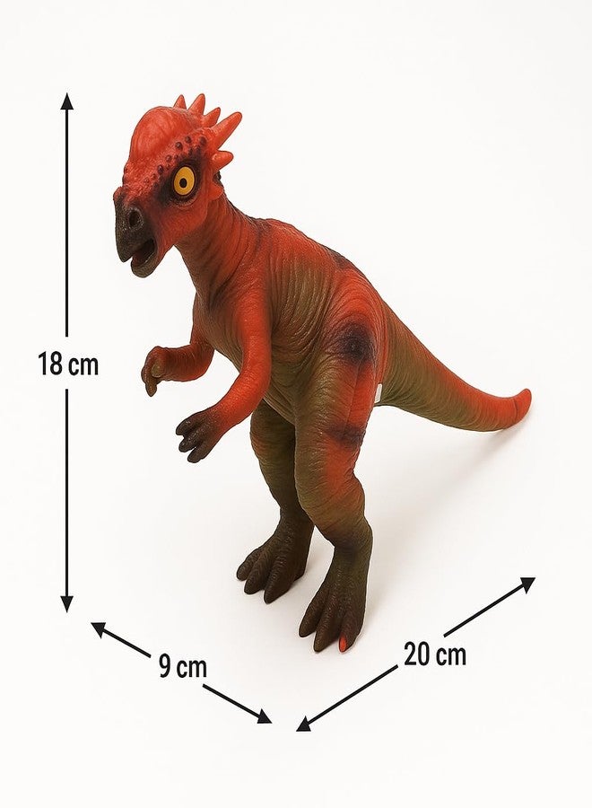 DTR Creation Pachycephalosaurus Dinosaur Toy for Kids - 26cm Realistic Soft Dinosaur Figure | Educational & Imaginative Play for Boys & Girls - Image 5