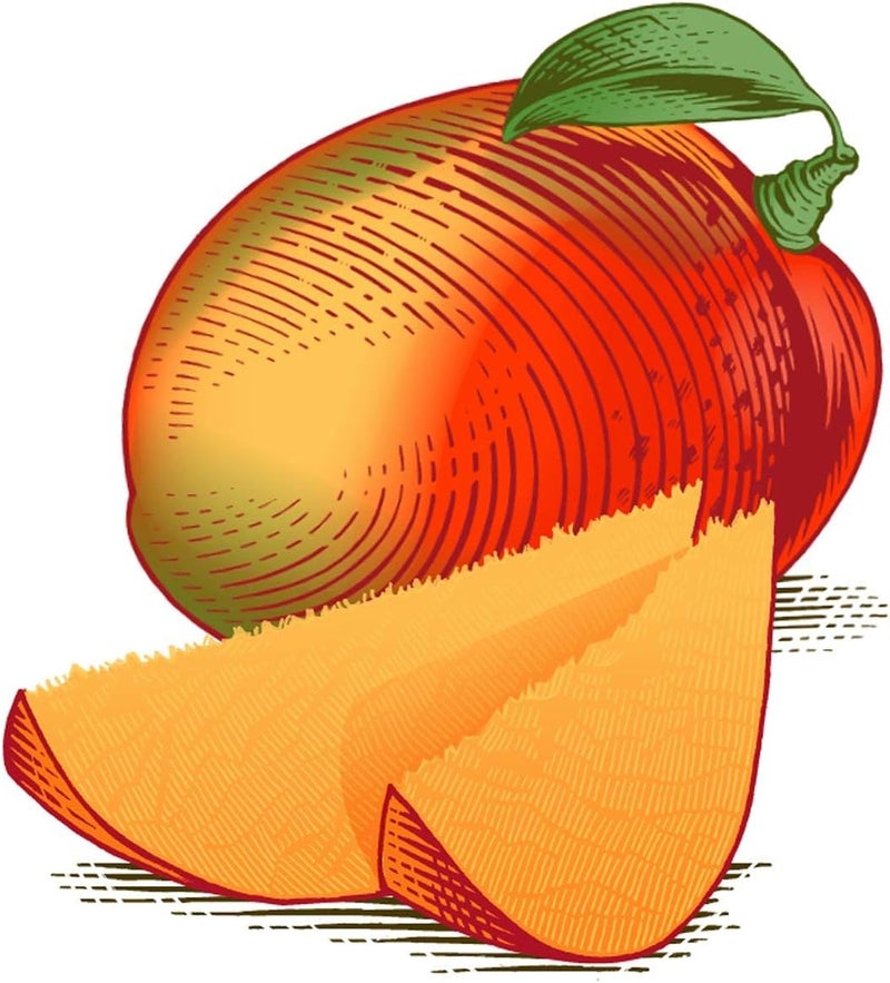 Burt's Bees 100% Natural Mango Moisturizing Lip Balm - 12 Tubes - Image 4