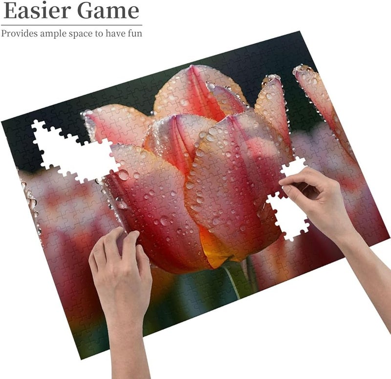 لغز بازل Phayah Blossom 500 قطعة للكبار، ديكور منزلي، هدية حفلة عيد ميلاد - Image 4