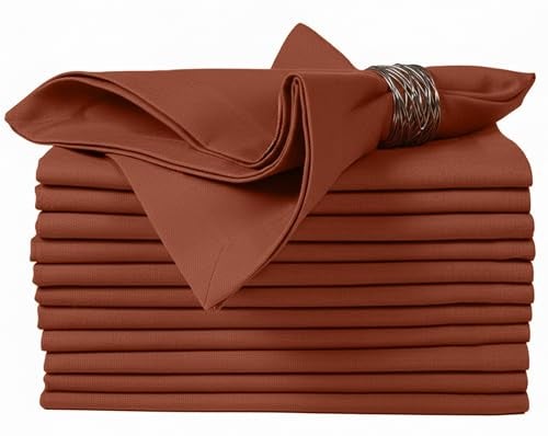 Ruvanti Cloth Napkins Set of 6 100 Cotton High GSM 18x18 Inches Soft Washable Highly Durable Absorbent Perfect for Parties Christmas Thanksgiving Dinners Rust - Image 1