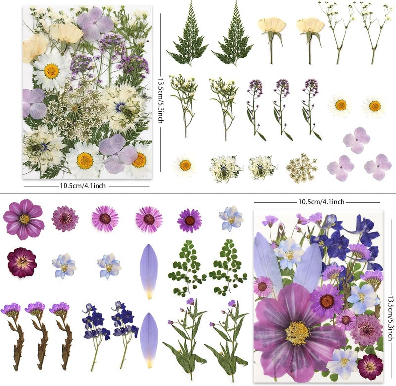 LUXEEASE 80 Pcs Dried Pressed Flowers for Crafts, Natural with Vibrant Colors & Various Shapes, Exquisite Arrangement for Resin, DIY, Jewelry, Candle & Soap Making – Tweezers Included - Image 2