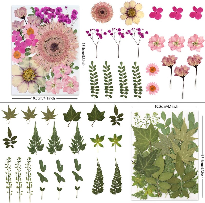 LUXEEASE 80 Pcs Dried Pressed Flowers for Crafts, Natural with Vibrant Colors & Various Shapes, Exquisite Arrangement for Resin, DIY, Jewelry, Candle & Soap Making – Tweezers Included - Image 3