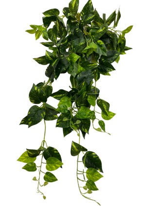 Cihan Çiçekçilik 9 Branches Ivy 85X50  - Image 1