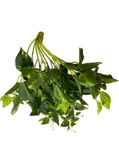 Cihan Çiçekçilik 9 Branches Ivy 85X50  - Image 3