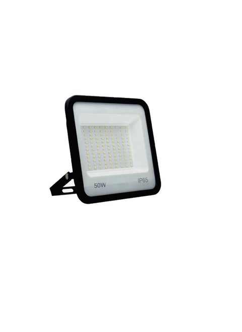 RR LED Floodlight 50W 6500K FL-SMD50D