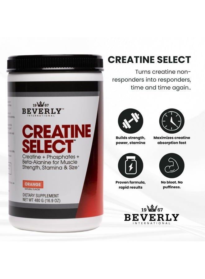 Beverly International كرياتين سيلكت مع الفوسفات، 40 حصة. تركيبة كرياتين مونوهيدرات مضمونة. يعزز حجم العضلات والقوة والتحمل والتعافي. للرجال والنساء. طعمه مثل تانج - Image 4