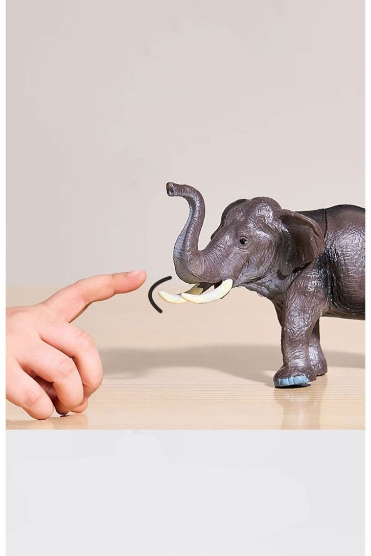 HALAMODO 12-Piece Wild Animal Model Set With Book and Storage Box , Realistic Plastic Toy Figures, Jungle Zoo Animals, Educational Gift For Boys Girls Kids Birthday Multicolor - Image 5