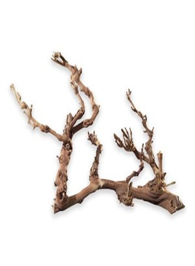 هوبي عنب جامبو