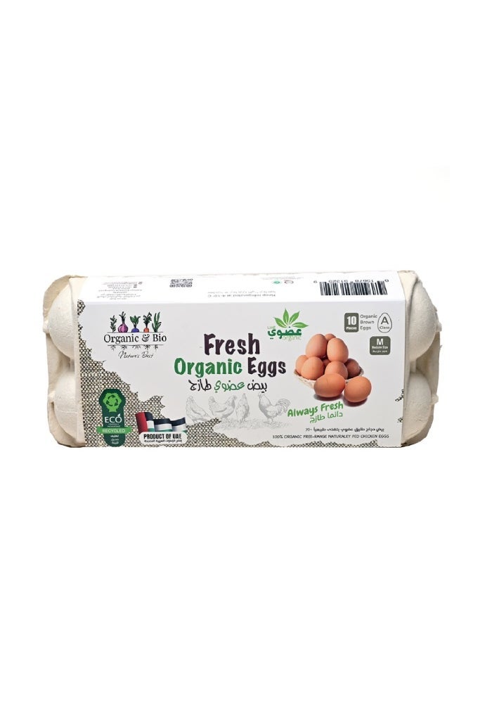 Eggs, Medium Brown - 10 eggs, UAE