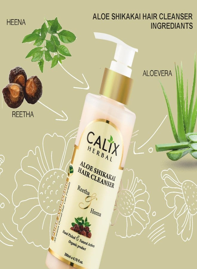 كلاليكس هيربال شامبو كاليكس هيربال العضوي والأيورفيدي بخلاصة الصبار والشيكاكاي لتنظيف الشعر 200 مل + حناء مهندي 100 جم + بلسم للشعر (مع الحناء) 200 مل - مجموعة متكاملة للعناية بالشعر للرجال والنساء وجميع أنواع الشعر - Image 3