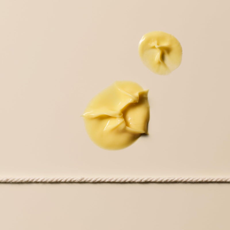 Aesop Camellia Nut Facial Hydrating Cream | Daily Moisturizer For Dry And Sensitive Skin | Provides Immediate Relief From Dryness | Blend Of Nut And Plant Extracts | 2.1 oz / 60mL - Image 4