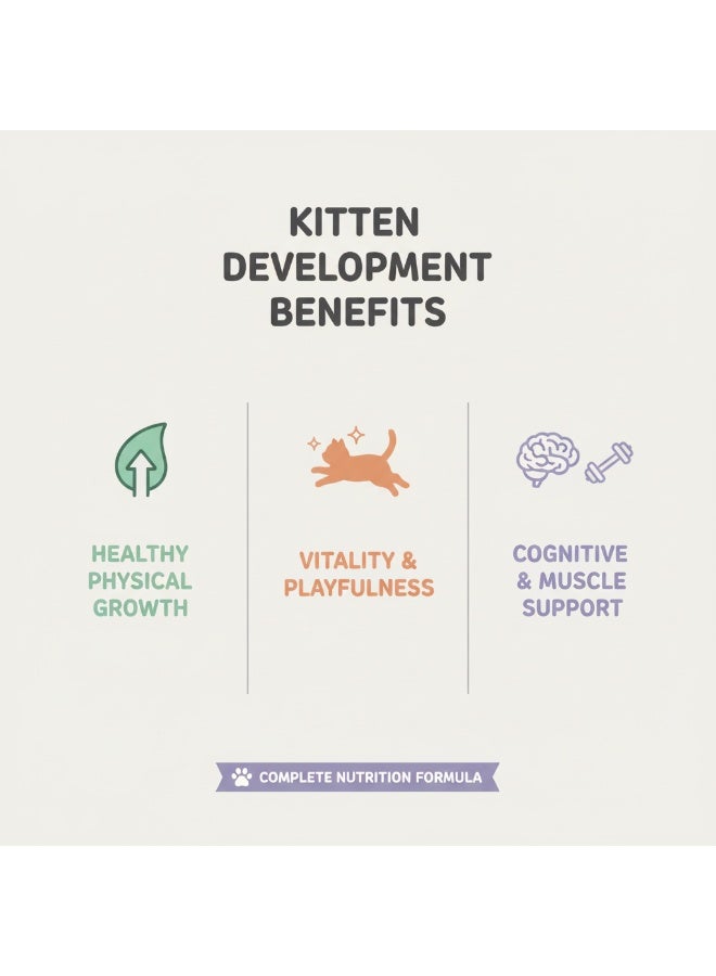 Winner Plus KittenCat Dry Cat Food | Premium German Formula | Growth & Immunity Support | Kittens | 2 Kg - Image 4