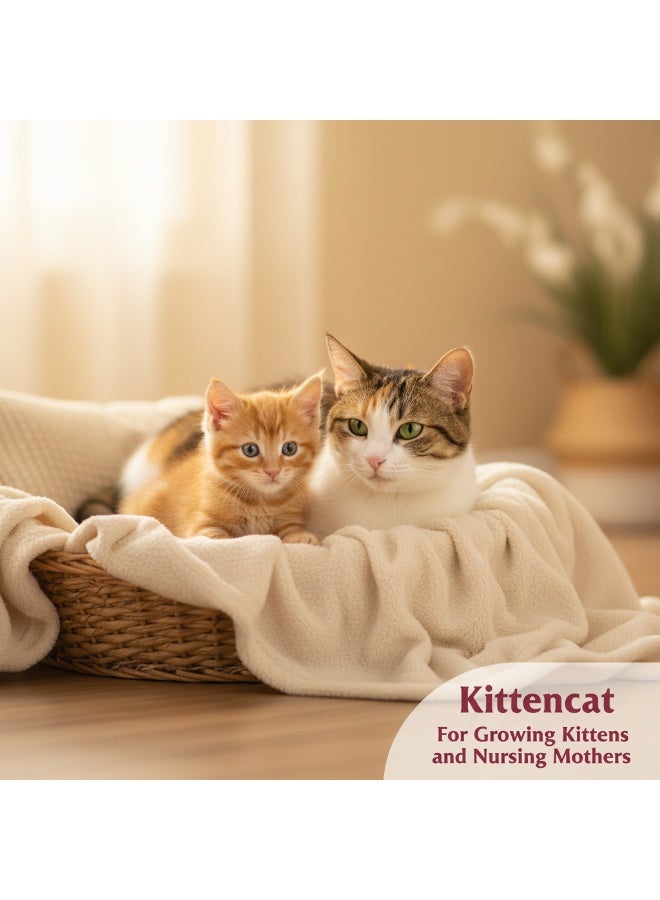 Winner Plus KittenCat Dry Cat Food | Premium German Formula | Growth & Immunity Support | Kittens | 2 Kg - Image 3