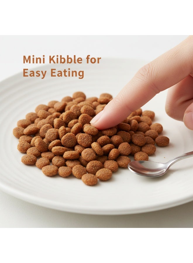 Winner Plus KittenCat Dry Cat Food | Premium German Formula | Growth & Immunity Support | Kittens | 2 Kg - Image 2