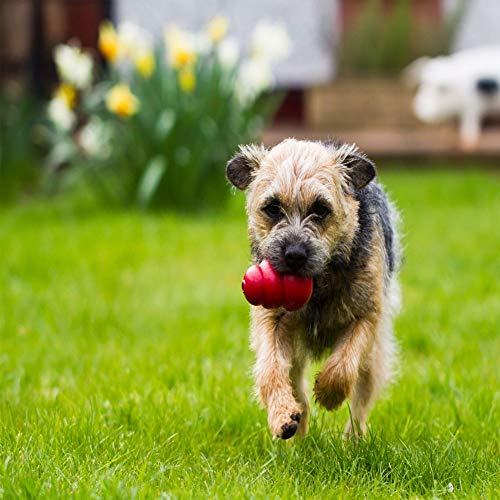Kong Classic Medium Dog Toy Red Medium Pack of 2 - Image 3