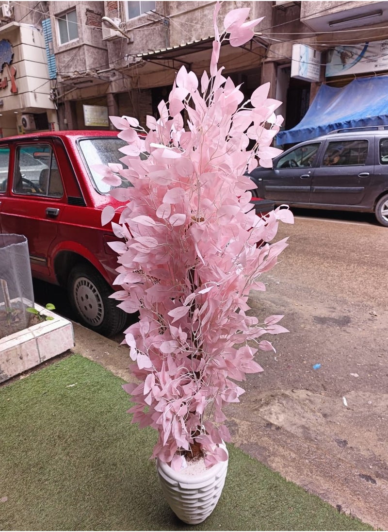 ماركة غير محددة - شجره البنجامينا الصناعيه - Image 1