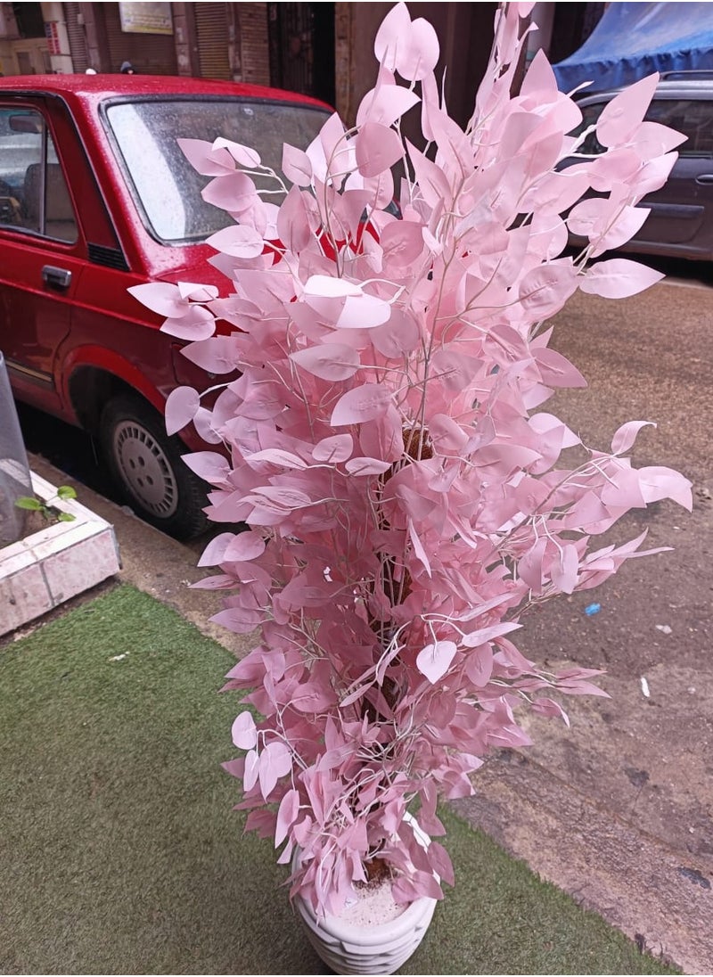 ماركة غير محددة - شجره البنجامينا الصناعيه - Image 1