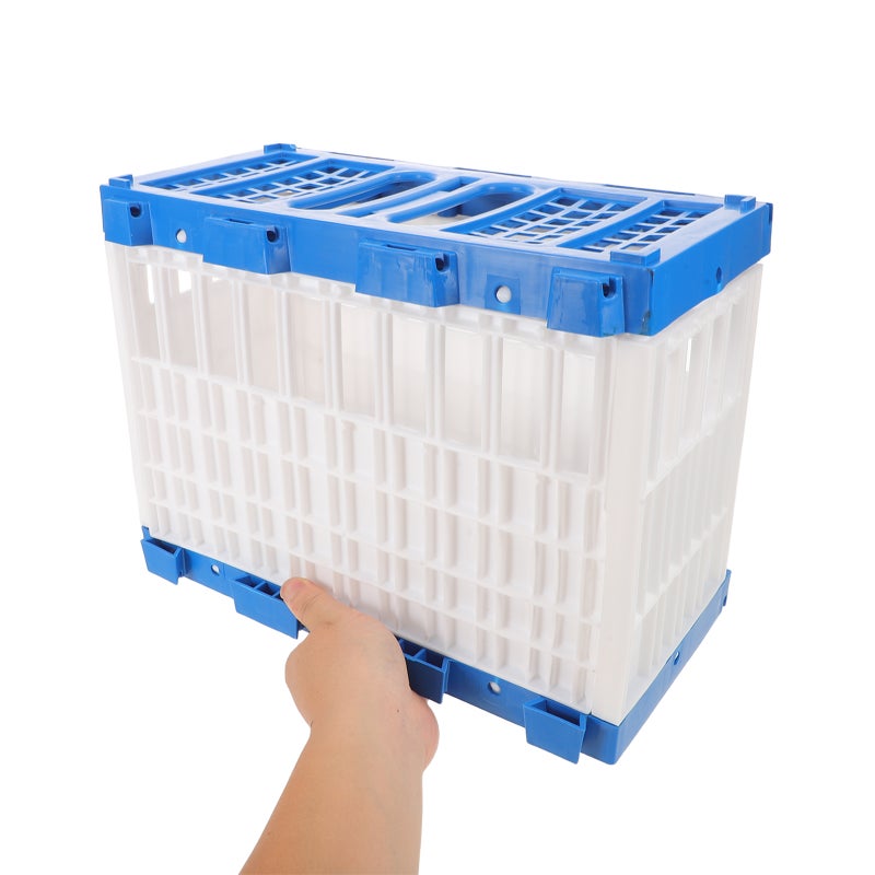 Versatile Plastic Pigeon Carrier Crate for Training and Transport with Ventilated Design - Image 4