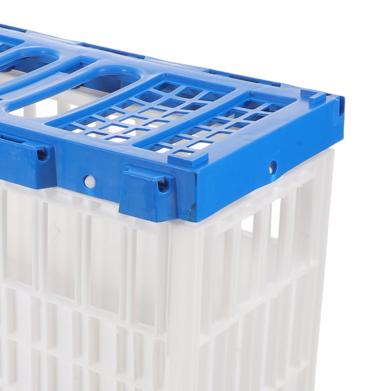 Versatile Plastic Pigeon Carrier Crate for Training and Transport with Ventilated Design - Image 3