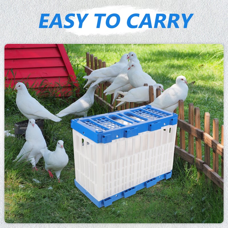Versatile Plastic Pigeon Carrier Crate for Training and Transport with Ventilated Design - Image 5
