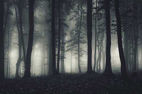 MFWFM Foggy Forest Wallpaper Misty Jungle Rainforest Trees Nature Landscape Wall MuralNot Peel n Stick - Image 3