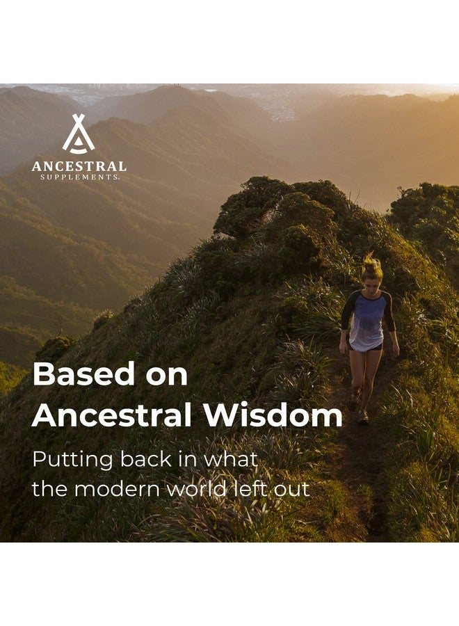 Ancestral Supplements مكملات الأجداد من لحم البقر العشبي مع المعدة (الكرشة)، 3000 ملغ، مكمل هضمي يدعم ارتجاع الحمض وصحة الأمعاء والهضم، غير معدّل وراثيًا، 180 كبسولة - Image 4