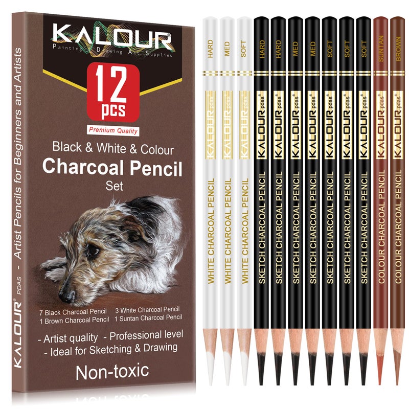 KALOUR Pro Colored Charcoal Drawing Set,12 Pieces Pastel Chalk Pencils for Sketching, Shading, Blending, Portrait, Black White Charcoal for Beginners & Artists - Image 1