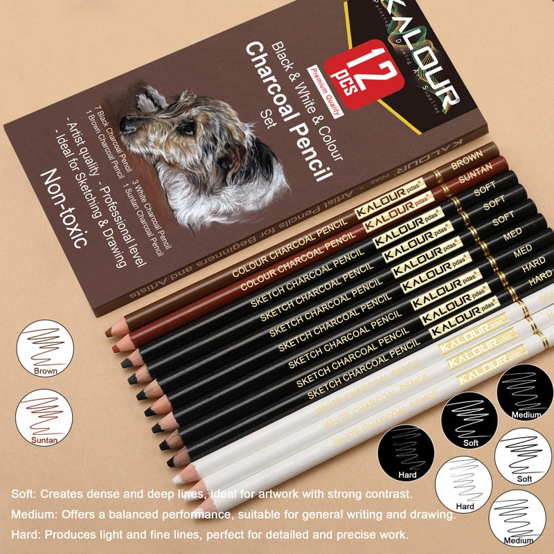 KALOUR Pro Colored Charcoal Drawing Set,12 Pieces Pastel Chalk Pencils for Sketching, Shading, Blending, Portrait, Black White Charcoal for Beginners & Artists - Image 2
