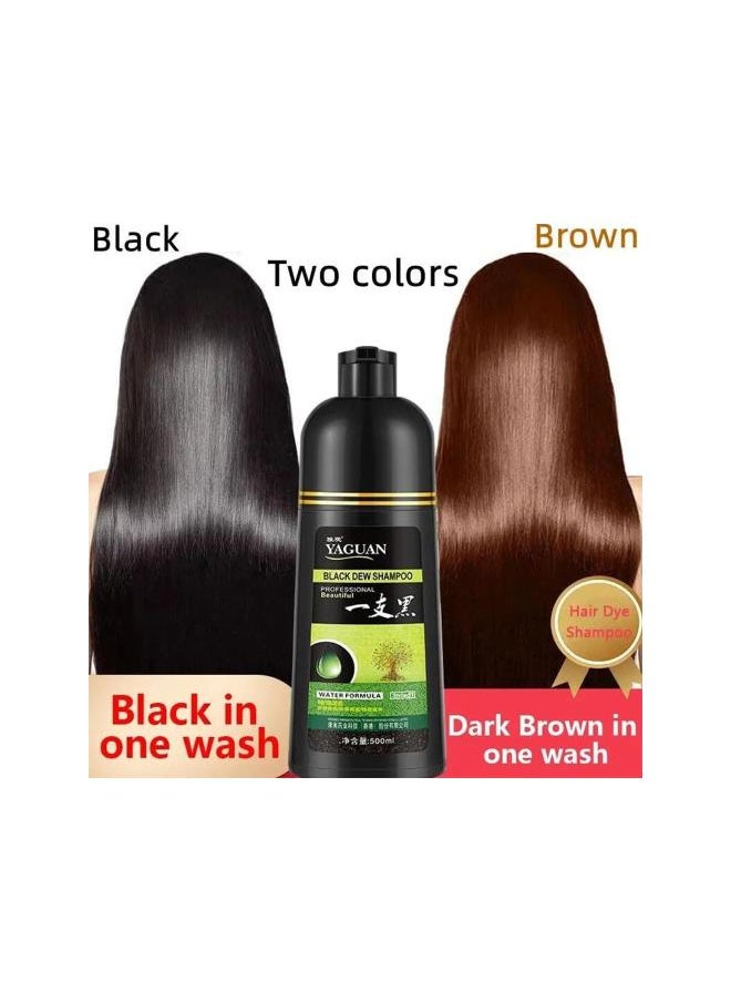Generic - Yaguan Herbal Shampoo Hair Dye, Yaguan Black Dew Shampoo, Yaguan Brown Dew Shampoo, Yaguan Herbal Blackening Shampoo，3 in 1 Natural Permanent Herbal Hair Coloring Shampoo (Black 2pc) - Image 1