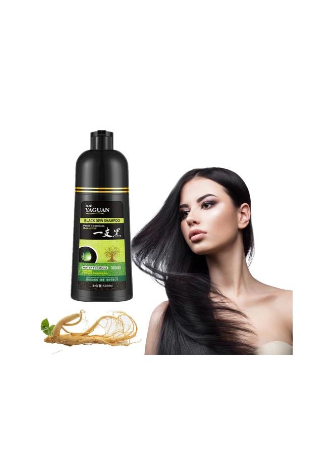 Generic - Yaguan Herbal Shampoo Hair Dye, Yaguan Black Dew Shampoo, Yaguan Brown Dew Shampoo, Yaguan Herbal Blackening Shampoo，3 in 1 Natural Permanent Herbal Hair Coloring Shampoo (Black 2pc) - Image 1