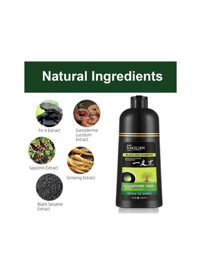 Generic - Yaguan Herbal Shampoo Hair Dye, Yaguan Black Dew Shampoo, Yaguan Brown Dew Shampoo, Yaguan Herbal Blackening Shampoo，3 in 1 Natural Permanent Herbal Hair Coloring Shampoo (Black 2pc) - Image 1