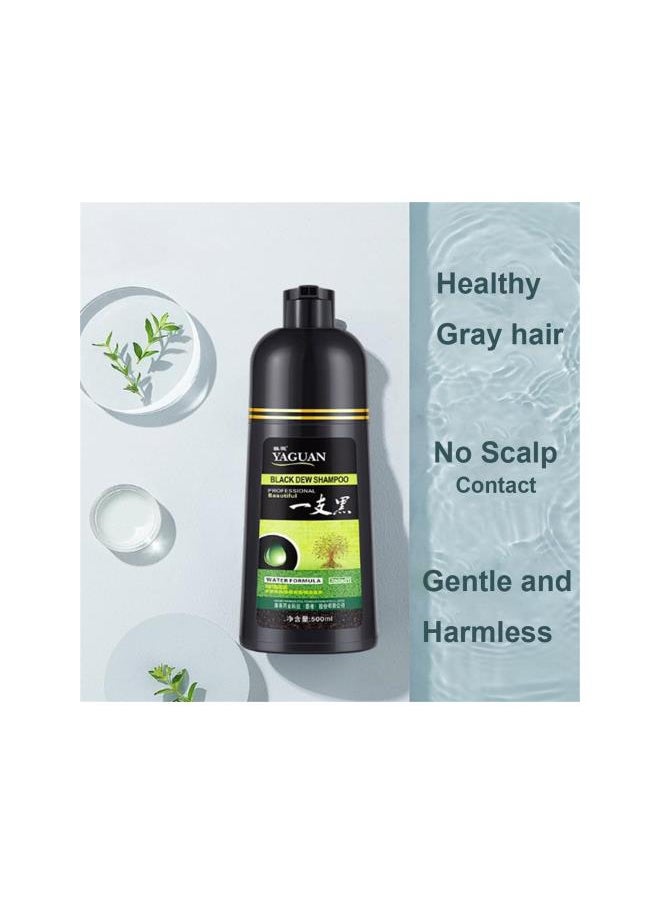 Generic - Yaguan Herbal Shampoo Hair Dye, Yaguan Black Dew Shampoo, Yaguan Brown Dew Shampoo, Yaguan Herbal Blackening Shampoo，3 in 1 Natural Permanent Herbal Hair Coloring Shampoo (Black 2pc) - Image 1
