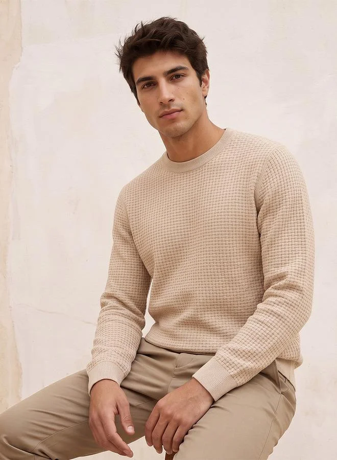 Splash FAV Smart Crew Neck Textured Sweater