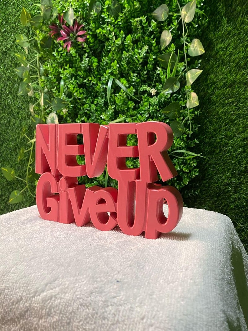 AVVIC MART AVVIC MART Perfect for Home Office Desk or Shelf Quirky Room Decoration Showpiece for Birthday Corporate Gifts and Inspiring Wall Decor Never Give Up Pink  - Image 3