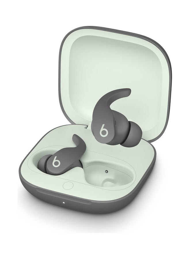 Beats Fit Pro True Wireless Earbuds Sage Gray - Image 1