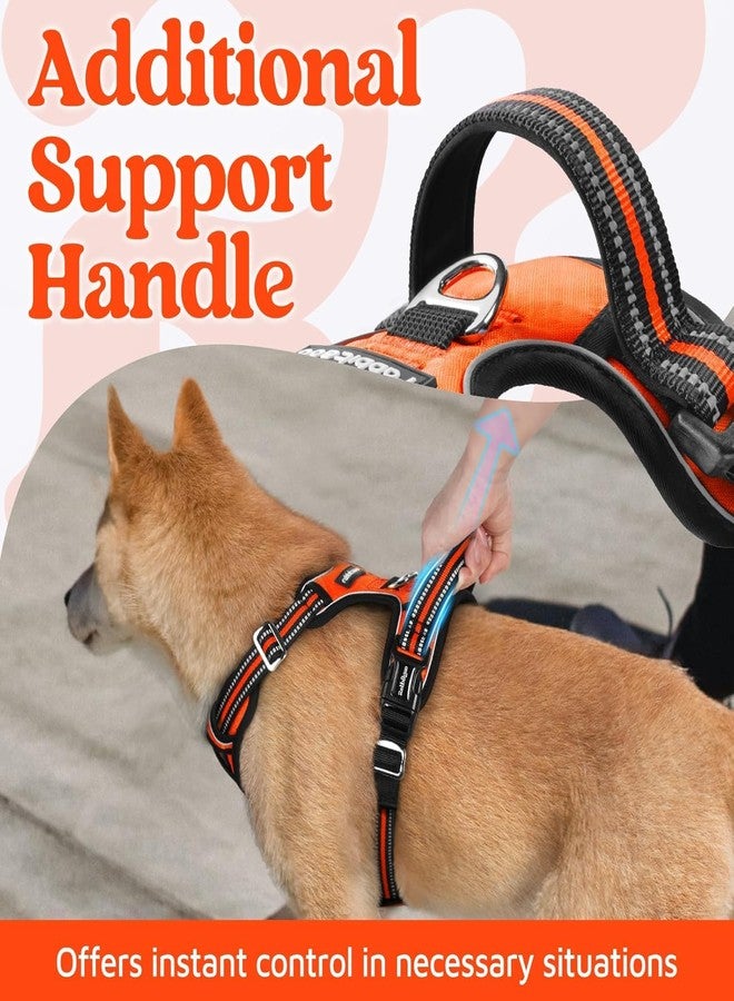 Doggo Bite Premium Reflective Dog Vest Harness| Soft Breathable| Padded Handle| Adjustable Straps & Dual Lock Buckle| No-Choke Design with Free Leash-22mm Chest 28-37inch All Giant Breeds 35-60Kg - Image 5