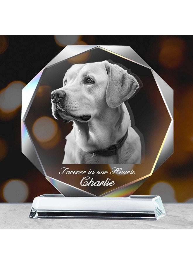 إطار صورة من الكريستال للكلاب، هدايا تذكارية للكلاب في حالة فقدان كلب، هدايا تذكارية للقطط والكلاب، صور كريستالية مخصصة لهدايا فقدان الحيوانات الأليفة، هدايا تعاطف للكلاب المتوفية، هدايا الحزن - Image 1