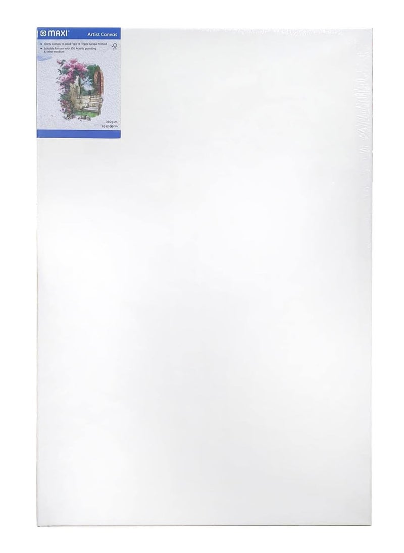 Maxi - 1-Piece Stretched Canvas 70x100cm Size - Image 1