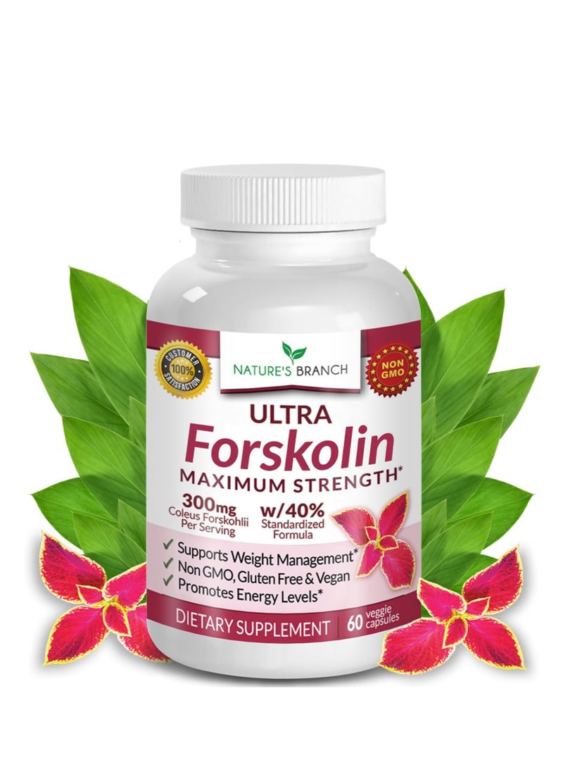 Premium 100% Ultra Pure Forskolin 60 Capsules - pzsku/ZAB2A53EF8FD0505A0C6BZ/45/_/1716288084/1c821441-c587-469e-ba8f-41663cee8fd4